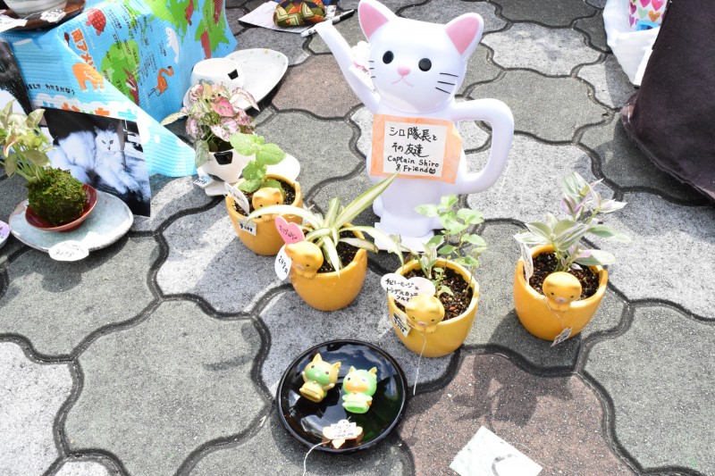 ねこびより花部